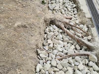 IMG-20220119-WA0002