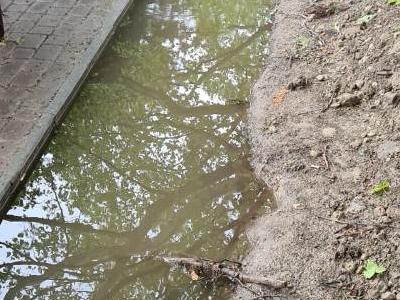 IMG-20220119-WA0015