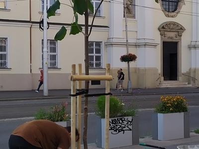 IMG20210812175649