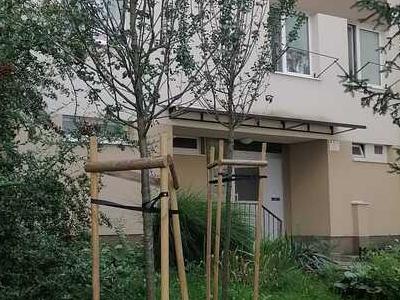 IMG-20230819-WA0002