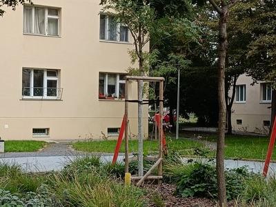 IMG20231024105203