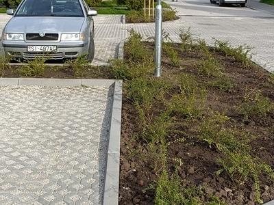 IMG20230511174603