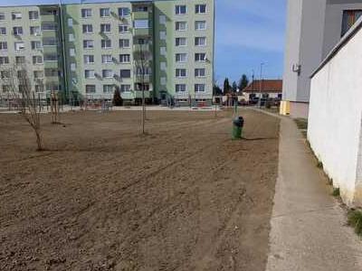 IMG-20230317-WA0014